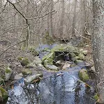 Dom Na Koncu Swiata Ostrowite Sauna I Ruska Bania Ostrowite