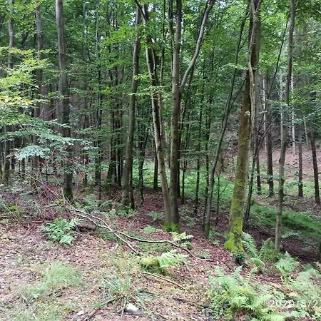 Dom Na Koncu Swiata Ostrowite Sauna I Ruska Bania Ostrowite