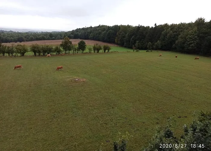 Dom Na Koncu Swiata Ostrowite Sauna I Ruska Bania Ostrowite (Chojnice)