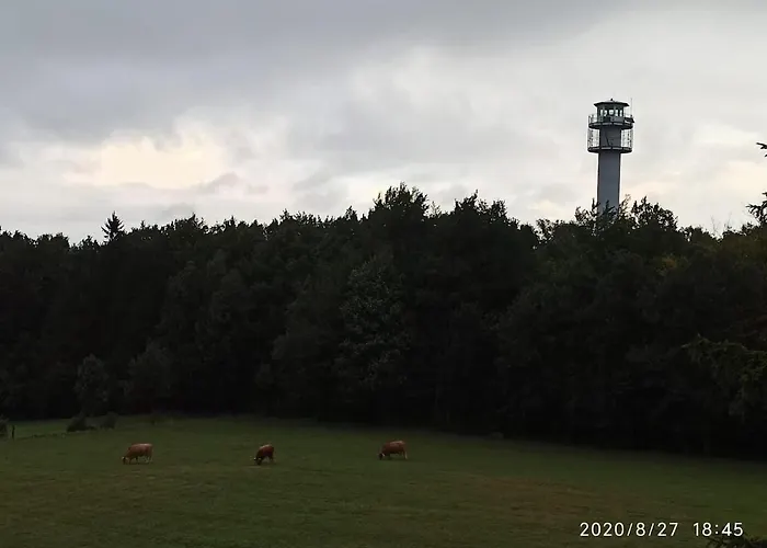 Prázdninový dům Dom Na Koncu Swiata Ostrowite Sauna I Ruska Bania