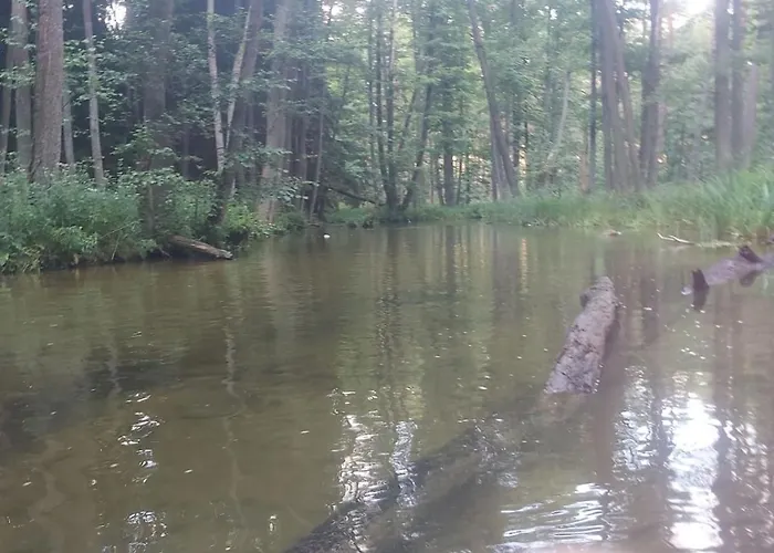 Dom Na Koncu Swiata Ostrowite Sauna I Ruska Bania *