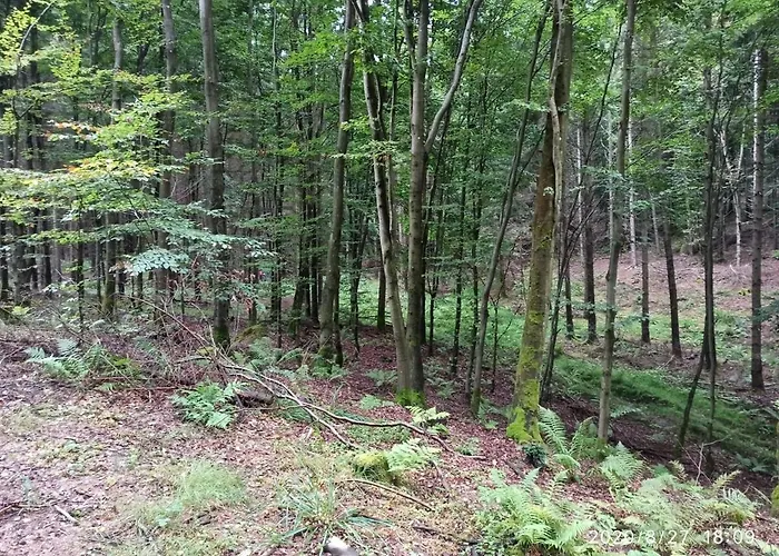 Dom Na Koncu Swiata Ostrowite Sauna I Ruska Bania Ostrowite (Chojnice)