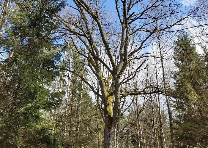Prázdninový dům Dom Na Koncu Swiata Ostrowite Sauna I Ruska Bania *