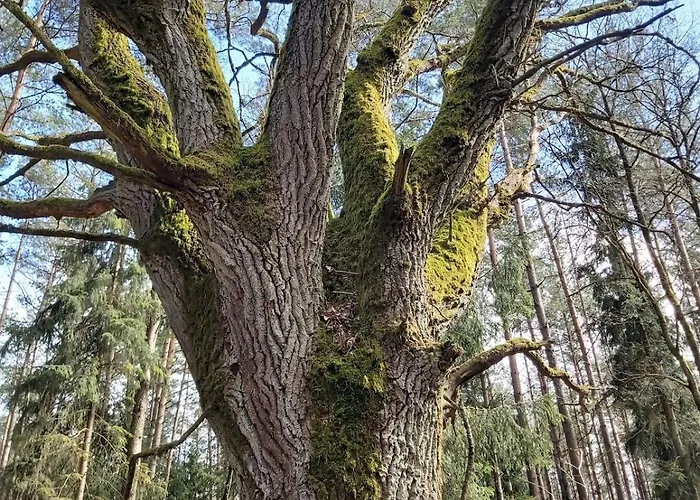 Dom Na Koncu Swiata Ostrowite Sauna I Ruska Bania