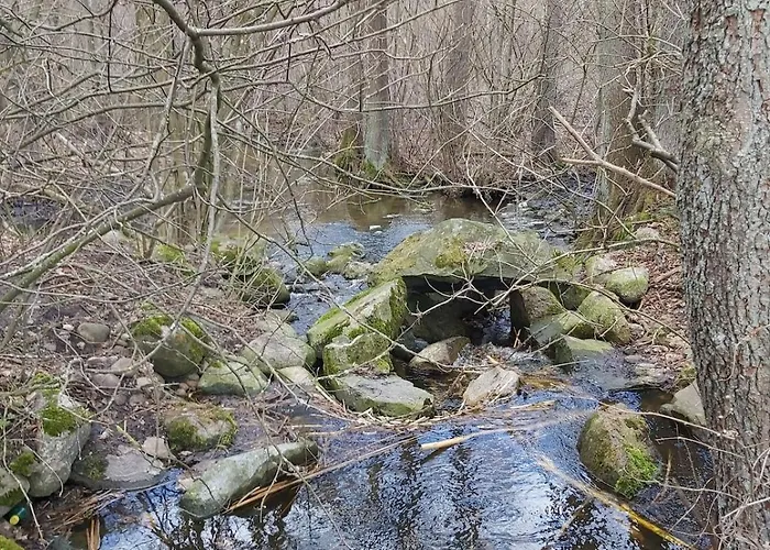 Dom Na Koncu Swiata Ostrowite Sauna I Ruska Bania Ostrowite (Chojnice)